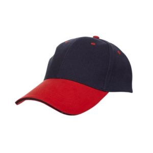 Shirts & Caps VPGSC0016 – Cap | Buy Online at Valenz Corporate Gifts Supplier Malaysia