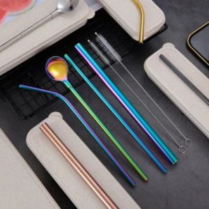 Miscellaneous Gifts VPGO0001 – Stainless Steel Straw (6 in 1) | Buy Online at Valenz Corporate Gifts Supplier Malaysia